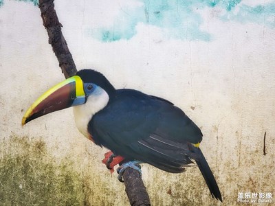 【與時(shí)光的對(duì)話】+隨手拍