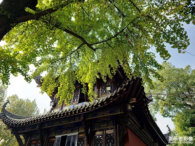 【與時光的對話】+武漢長春觀