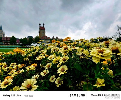 【與時光的對話】+武漢花博匯