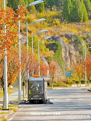 【與時(shí)光對(duì)話】秋日紅葉