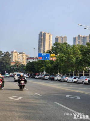 成都-郫都區(qū)