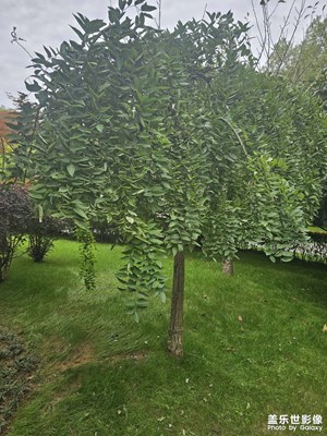 【我們的視界】+ 公園的冬天