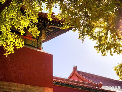 【我們的視界】秋色光影