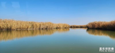 【我們的視界】+ 沙湖美景