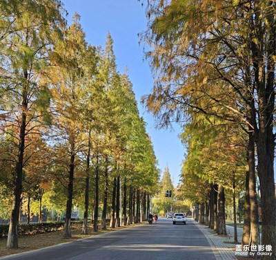 【我們的視界】+ Fold 5隨手拍