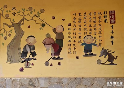 【我們的視界】墻上的藝術(shù)