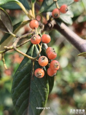 【我們的視界】散歩中