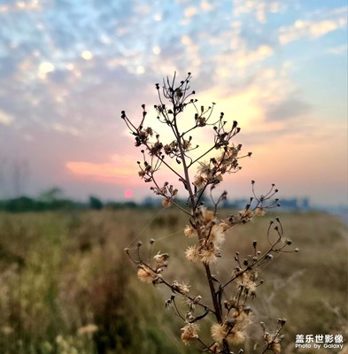 【我們的視界】歸途的夕陽