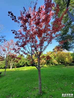 【我們的視界】+ 多彩的東湖
