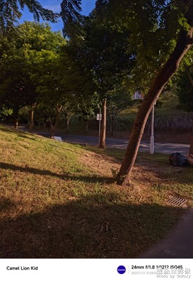 【我們的視界】以光為筆