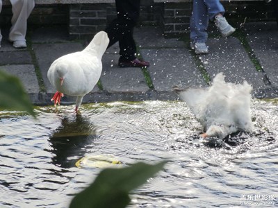 【我們的視界】