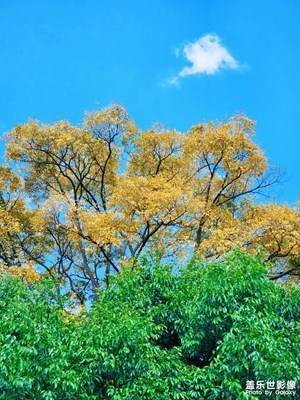 星攝2023-秋冬限定