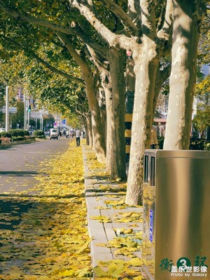 【我們的視界】眼中美景