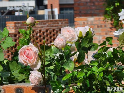 【我們的視界】+冬日暖陽