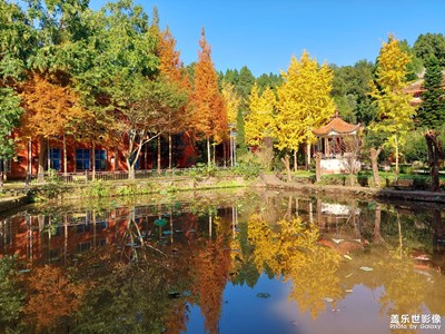 冬日暖陽，蜀中凈土。