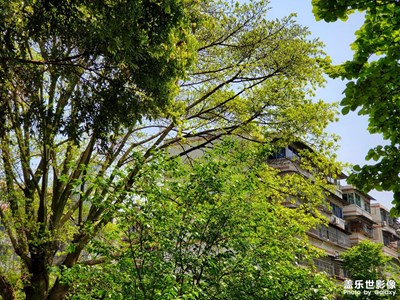 【我們的視界】+ 我眼中的風(fēng)景