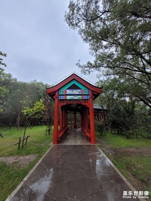 【難忘2023】+?公園隨拍