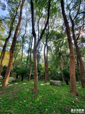 【淡寫時光】+ 游玩隨拍