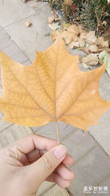 【淡寫時光】隆冬季節(jié)