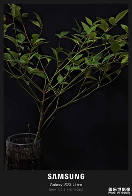 谷歌相機跟自帶專業(yè)相機