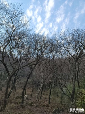 【淡寫時(shí)光】+ 徒步隨拍