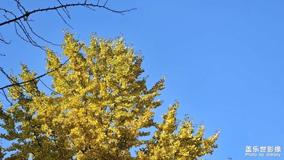 【淡寫時光】+悠閑時光