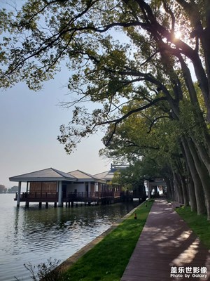 【快樂隨拍】+ 東湖公園的冬季