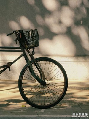 【難忘2023】時間的脈搏