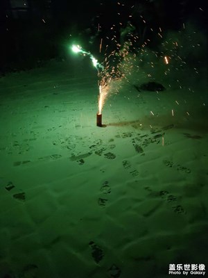 【難忘2023】火樹熒花