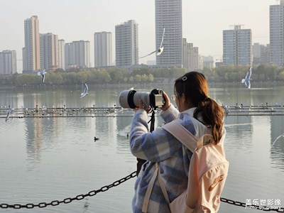 【難忘2023】江邊靚麗的風景線