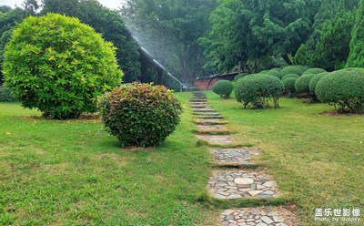 【難忘2023】游湖隨拍