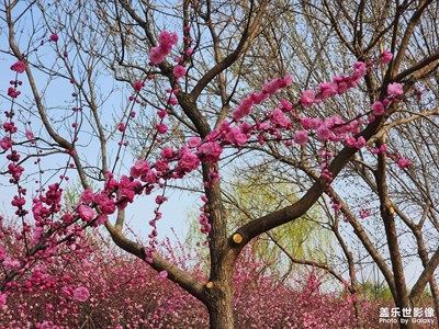 【難忘2023】+2023精彩瞬間