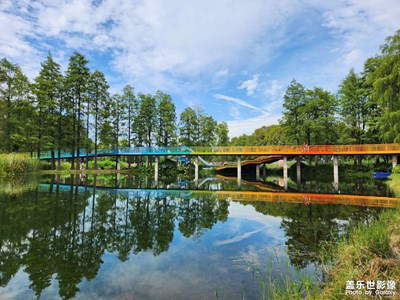 【難忘 2023】一年的瞬間