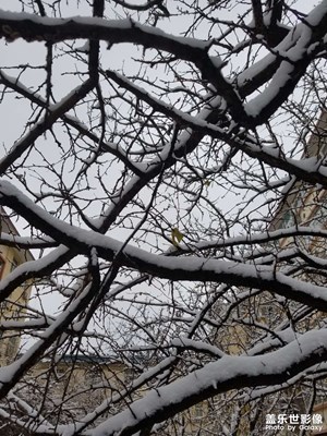 2023年的第一場(chǎng)雪