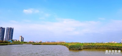 【難忘2023】+黃楊濕地公園