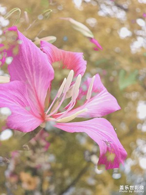 【隨處風(fēng)景】Expert RAW雙重曝光