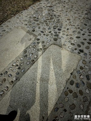 【難忘2023】＋在路上、不曾停步