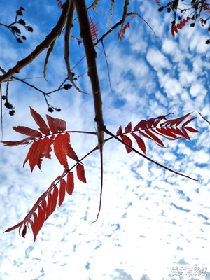 【難忘2023】多彩秋天