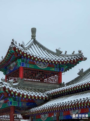 【隨處風(fēng)景】大雪紛飛