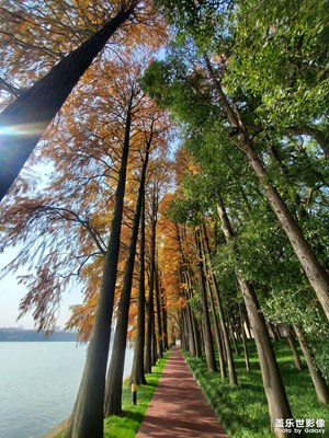 【隨處風(fēng)景】+ 公園綠意