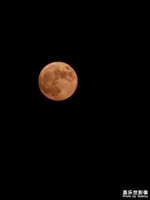 【難忘2023】月圓之夜