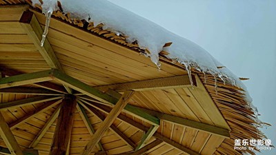 【難忘2023】四季之冬