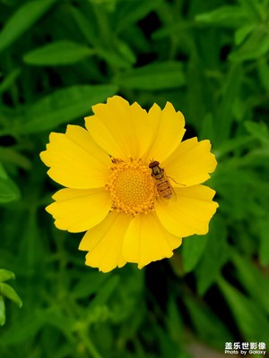 【難忘2023】四季之春