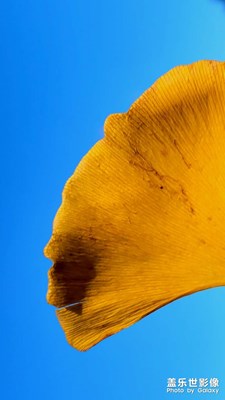 【難忘2023】四季之秋