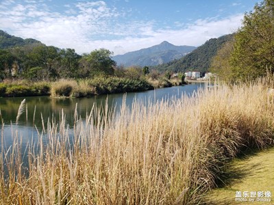 【隨處風景】+?隨手一拍