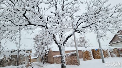 【難忘2023】+銀裝素裹