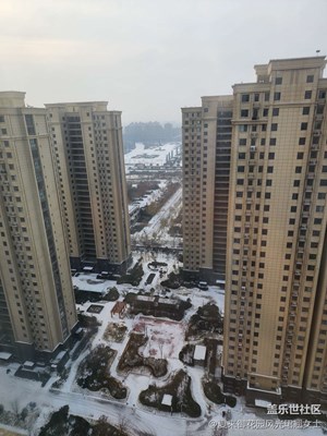 下了一夜雨夾雪