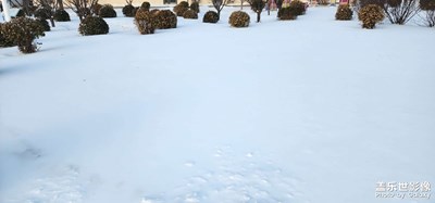 【隨處風景】+ 雪后美景