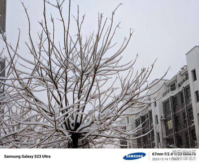分享幾張雪景。。。。。。。