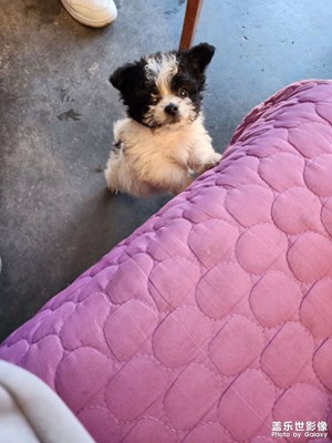 【隨處風景】日常